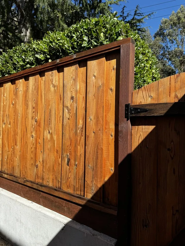 Trusted landscape design in San Francisco, CA - San Francisco Landscaping