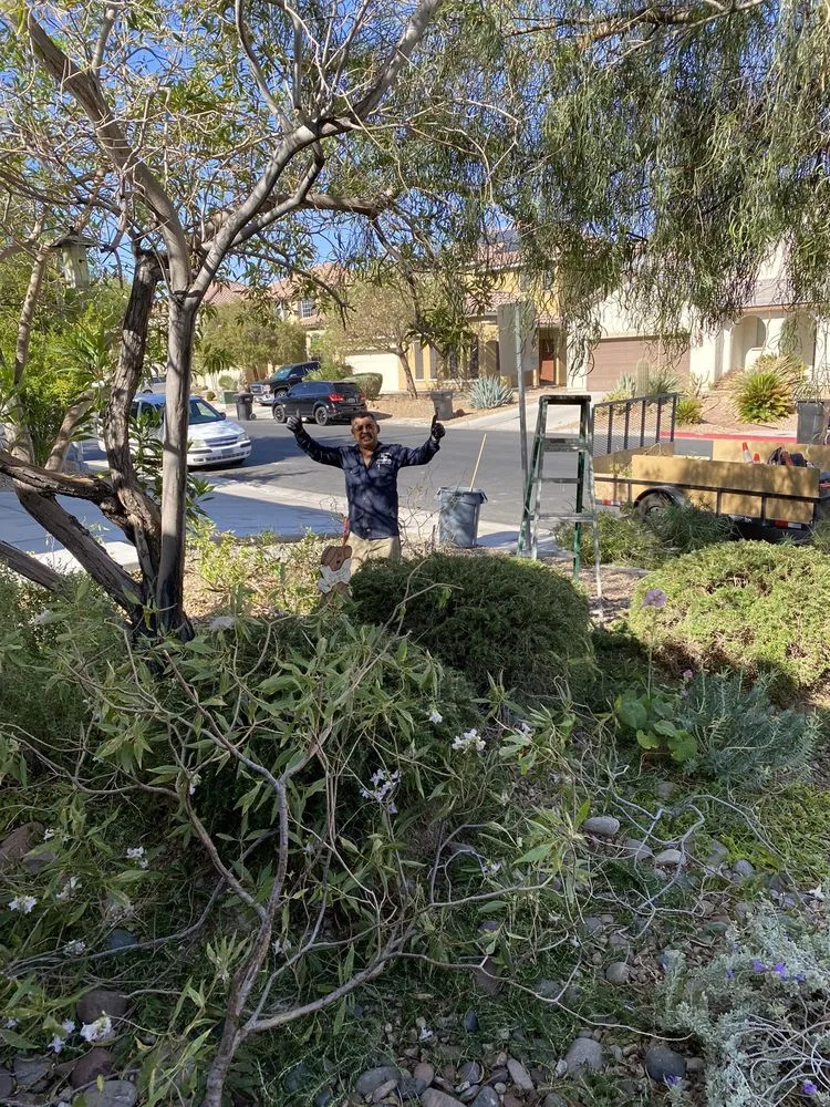 Reliable residential landscaping in North Las Vegas, NV by San Jose Flores Landscaping