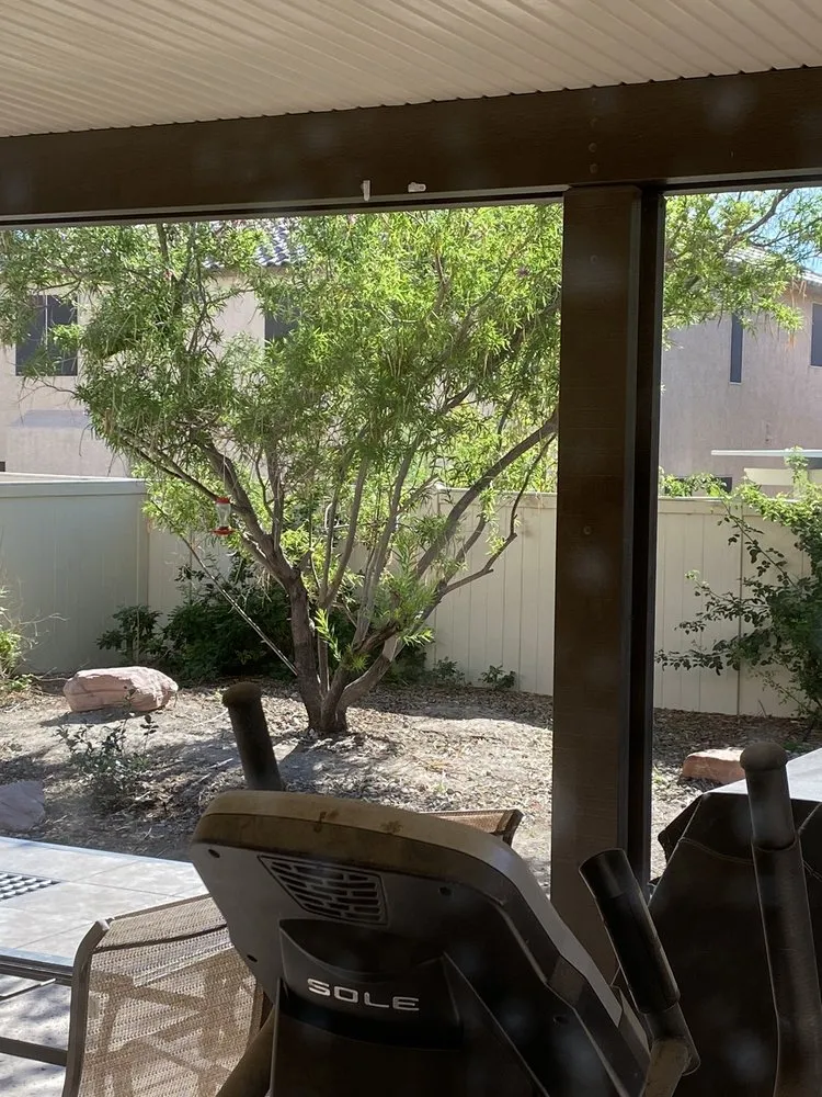 Top-rated yard cleanup service for homes across North Las Vegas, NV - San Jose Flores Landscaping