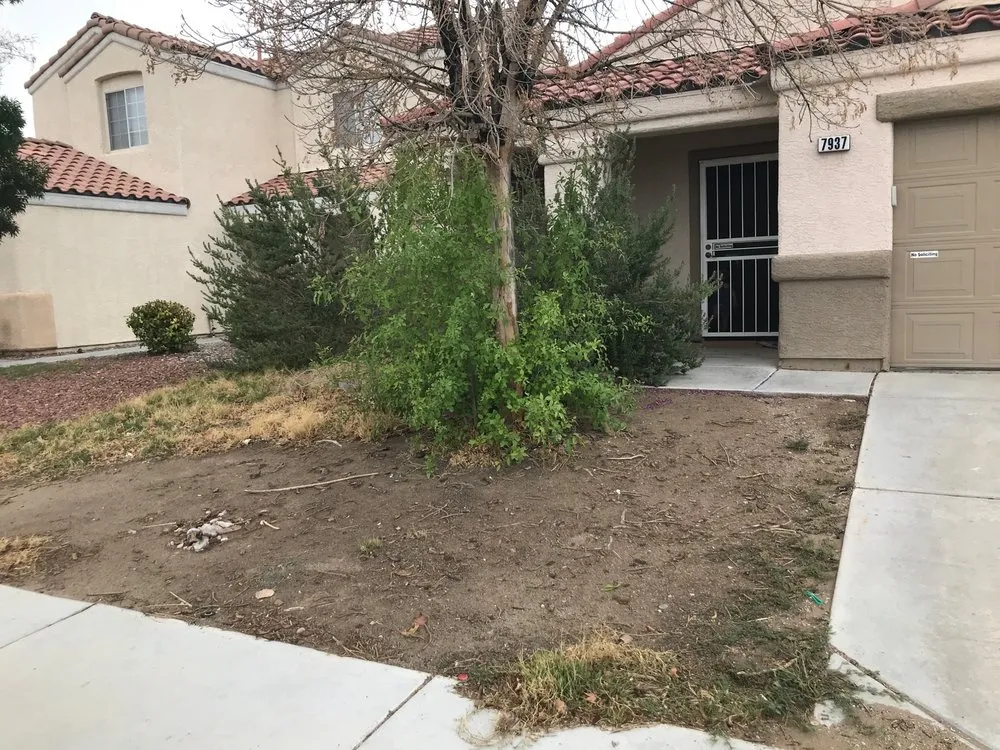 Custom garden landscaping in North Las Vegas, NV by San Jose Flores Landscaping
