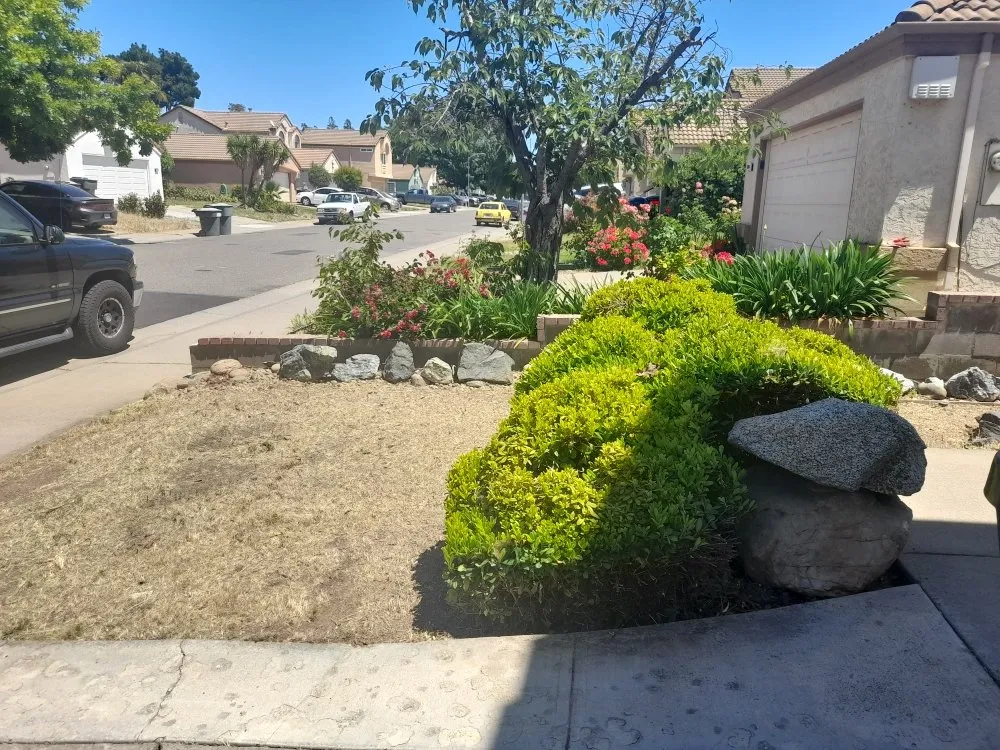 Affordable outdoor landscaping experts serving Sacramento, CA - San Jose Landscape