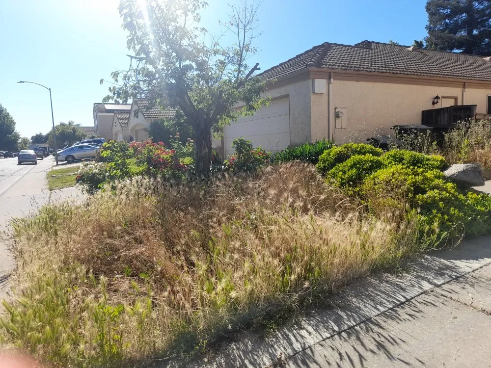 Reliable landscape installation for homes across Sacramento, CA - San Jose Landscape