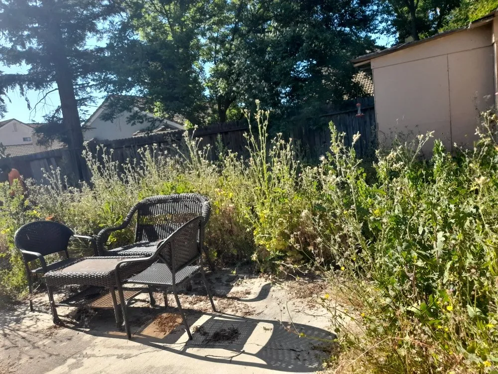 Affordable landscaping services in Sacramento, CA - San Jose Landscape