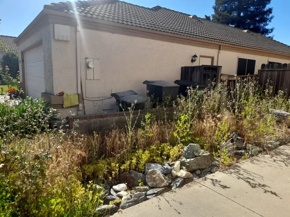 Trusted lawn mowing service experts serving Sacramento, CA - San Jose Landscape