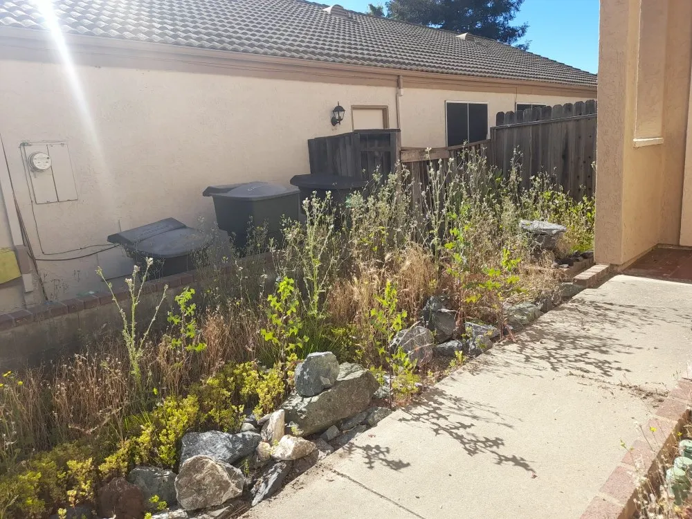 Professional yard maintenance experts serving Sacramento, CA - San Jose Landscape