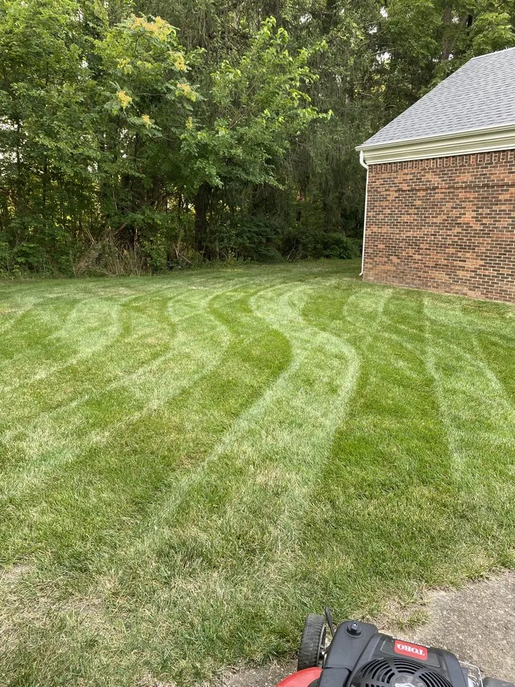 Expert yard cleanup service in Marion, IN - San Jose Lawncare and Landscaping Services