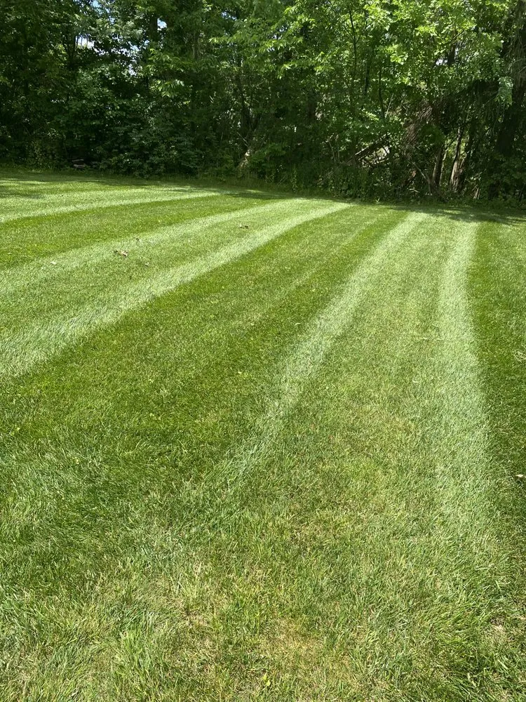 Local residential landscaping for outdoor upgrades in Marion, IN by San Jose Lawncare and Landscaping Services