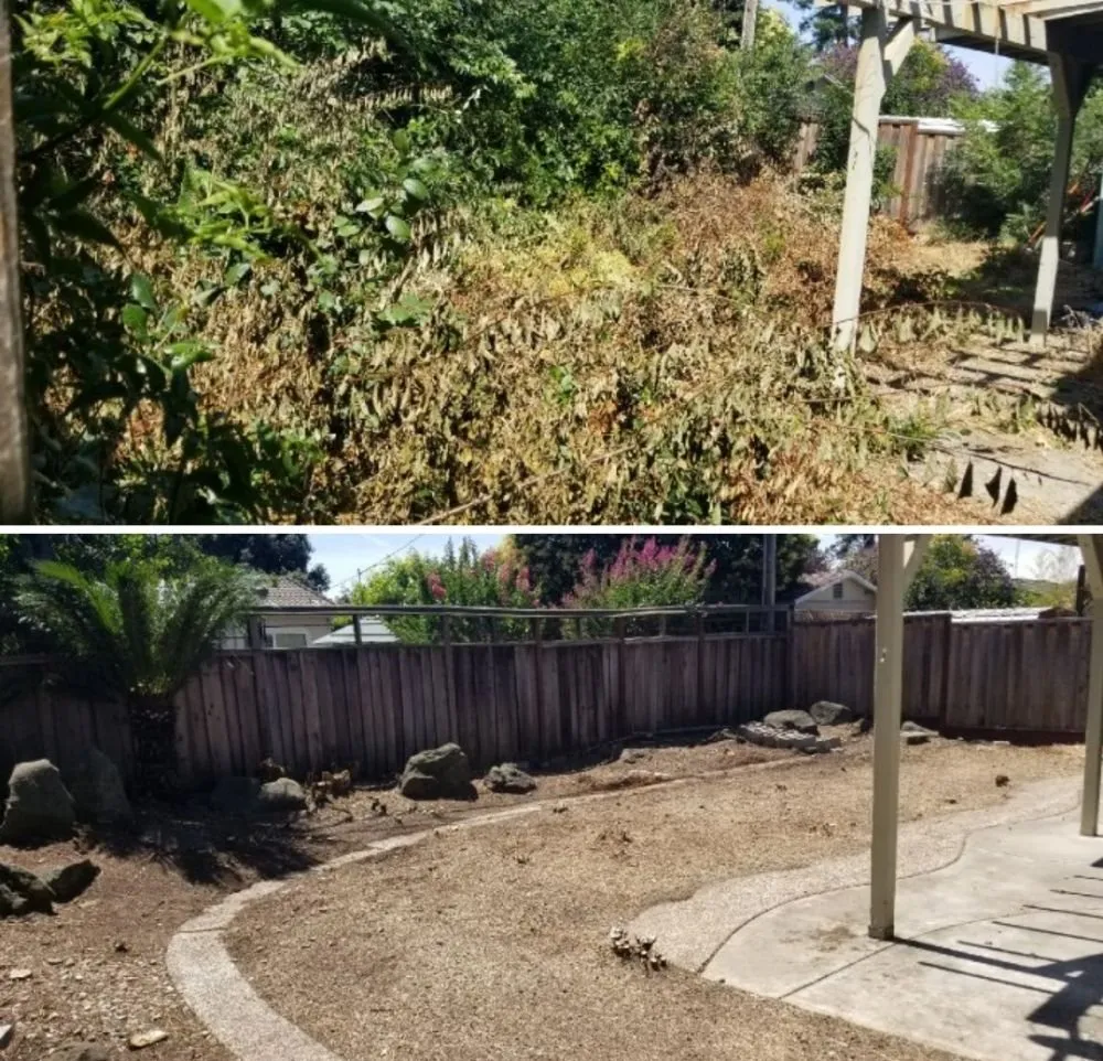 Trusted residential landscaping experts serving San Jose, CA - San Jose Yard Cleanup
