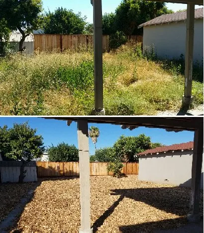 Professional lawn care service with custom design in San Jose, CA by San Jose Yard Cleanup