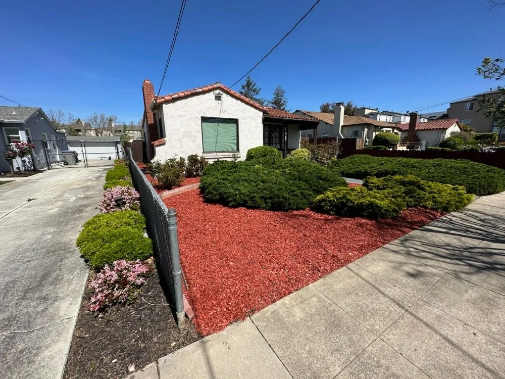 Professional yard cleanup service experts serving San Jose, CA - San Jose Yard Cleanup