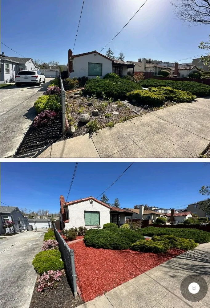 Reliable lawn mowing service in San Jose, CA - San Jose Yard Cleanup