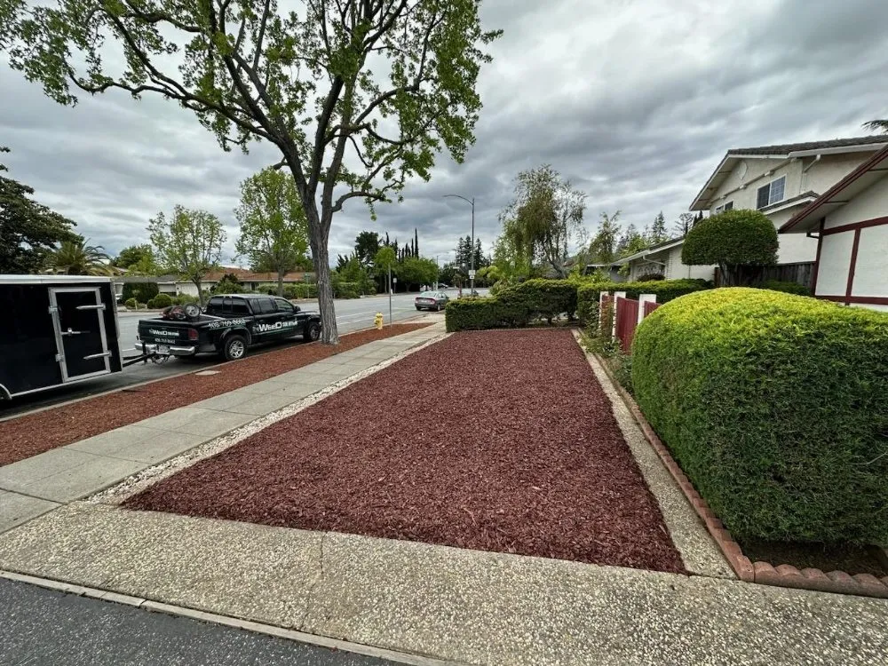 Local residential landscaping experts serving San Jose, CA - San Jose Yard Cleanup