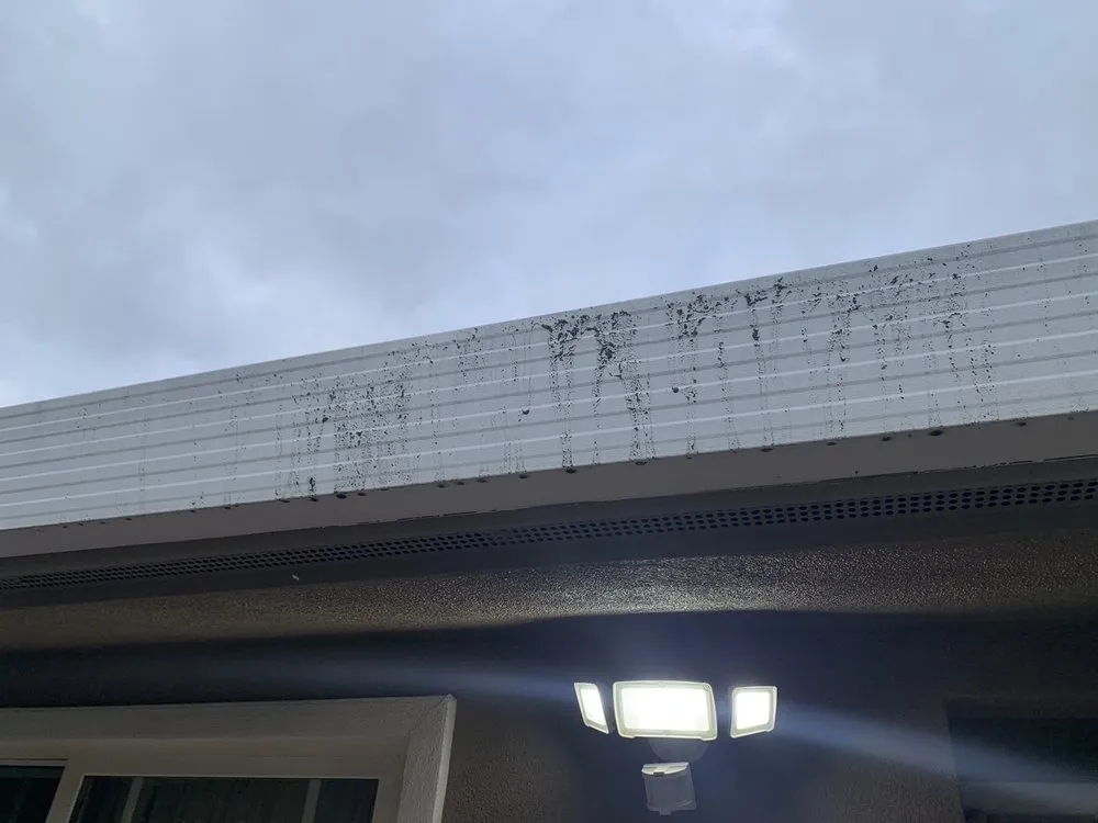 Trusted landscape installation for outdoor upgrades across San Jose, CA - San Jose Yard Cleanup