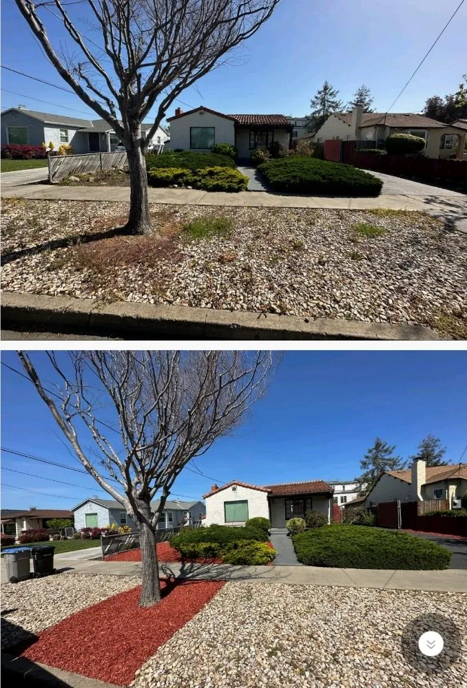 Custom residential landscaping in San Jose, CA by San Jose Yard Cleanup