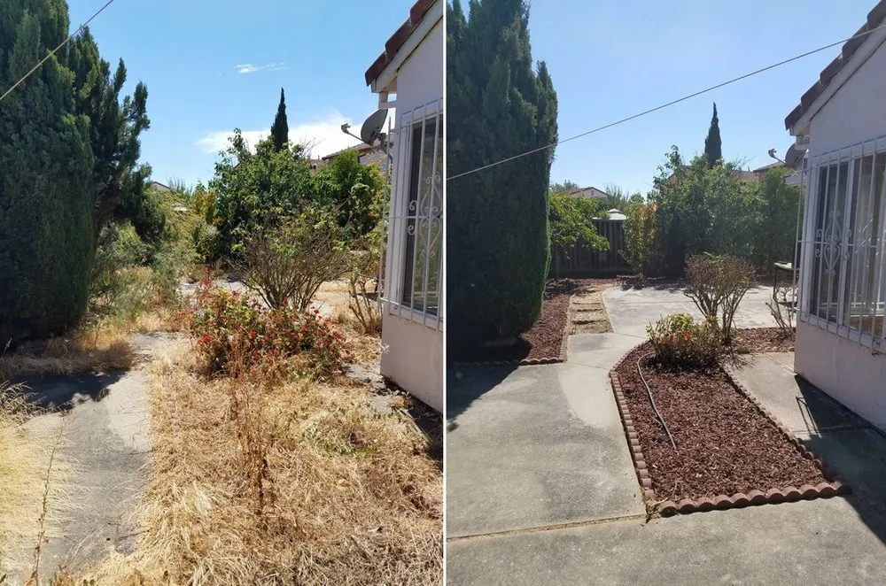 Top-rated landscape installation in San Jose, CA by San Jose Yard Cleanup