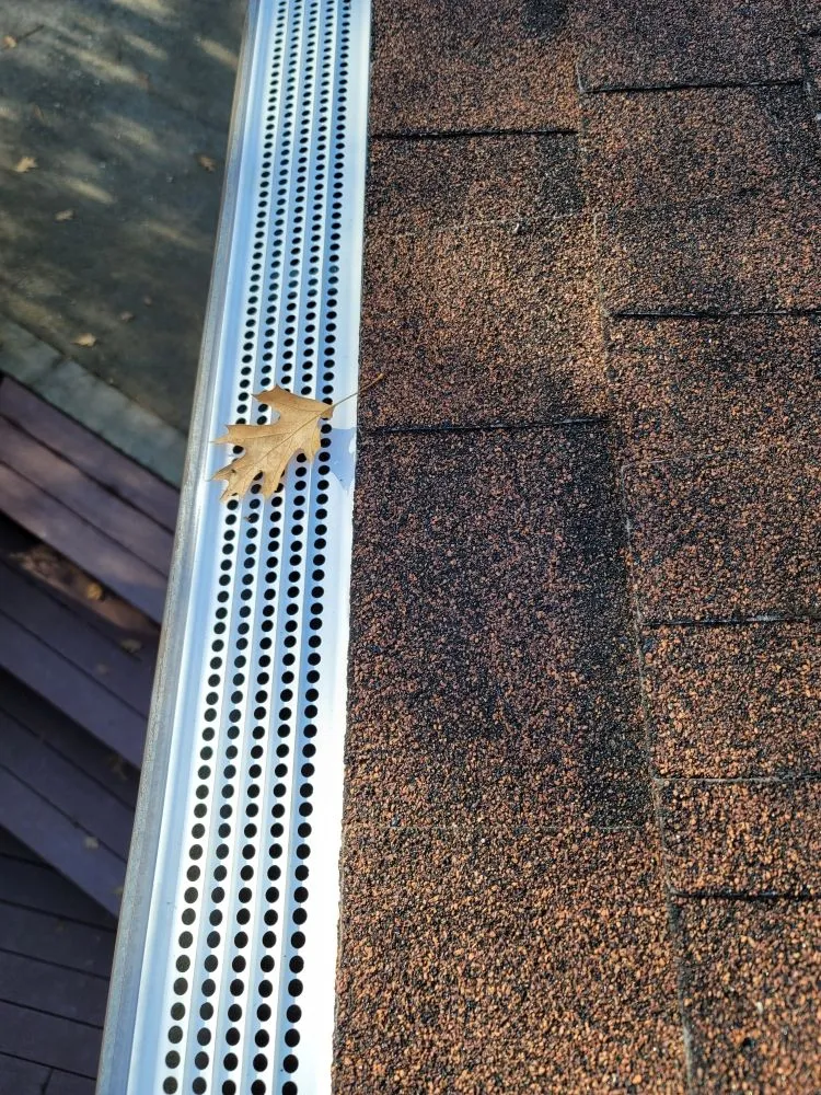 Affordable yard maintenance in San Jose, CA by San Jose Yard Cleanup