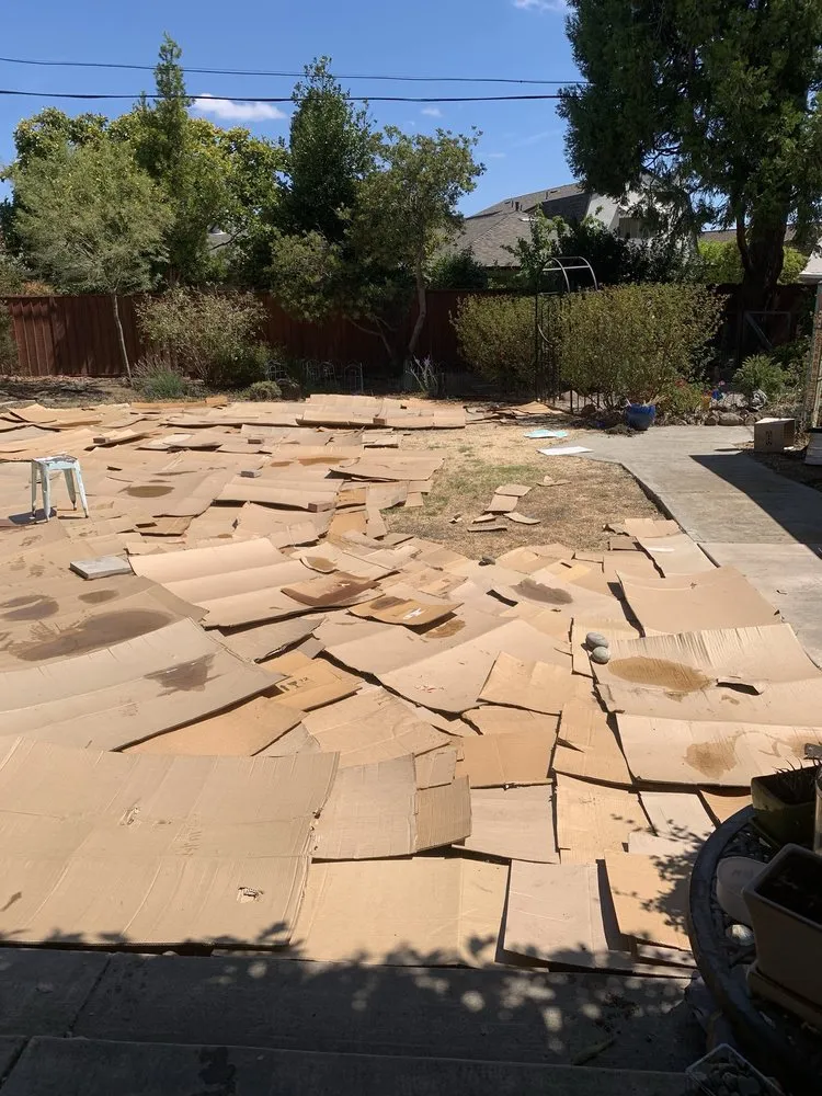 Top-rated garden landscaping in San Jose, CA by San Jose Yard Cleanup