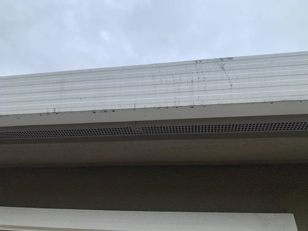 Reliable lawn care service for outdoor upgrades in San Jose, CA by San Jose Yard Cleanup