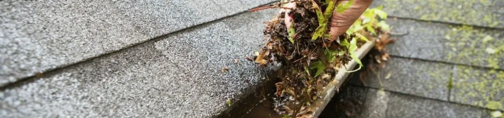 Trusted landscaping services experts serving San Jose, CA - San Jose Yard Cleanup