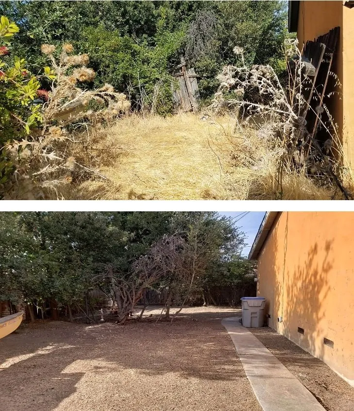 Trusted lawn care service in San Jose, CA by San Jose Yard Cleanup