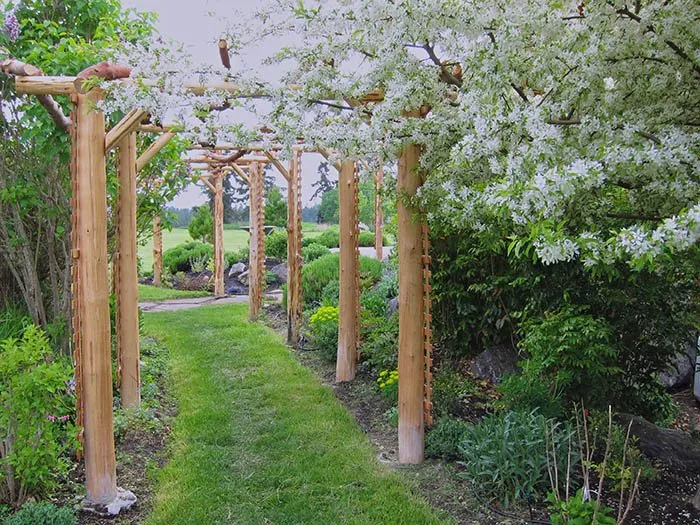 Custom landscaping services in Friday Harbor, WA by San Juan Landscape Pros