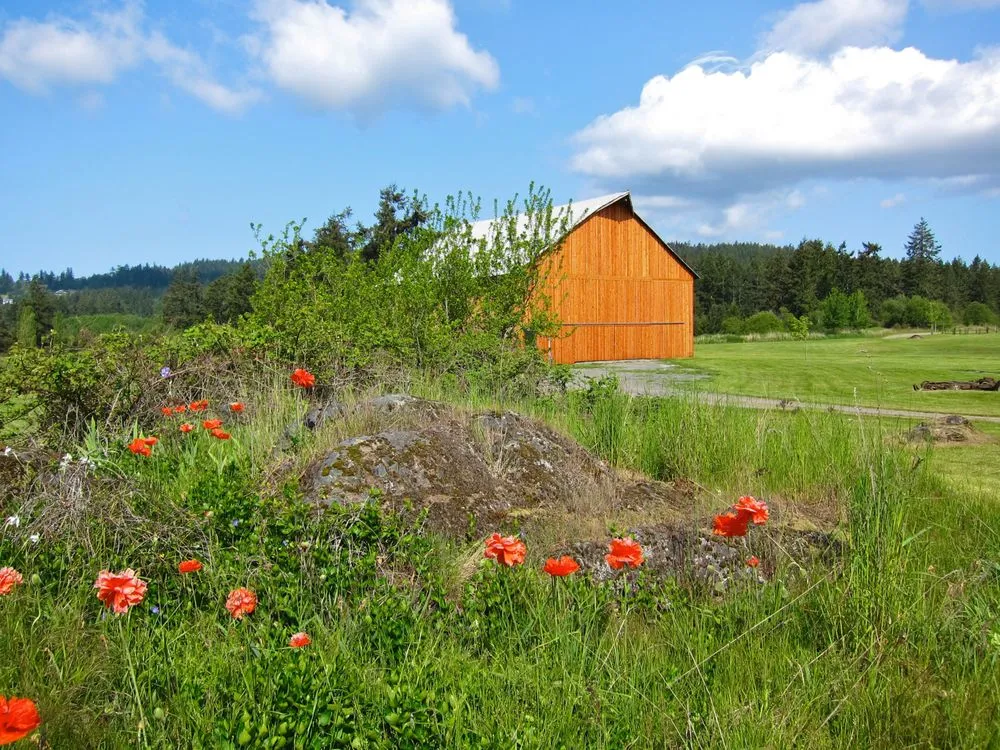 Trusted residential landscaping for year-round maintenance in Friday Harbor, WA by San Juan Landscape Pros
