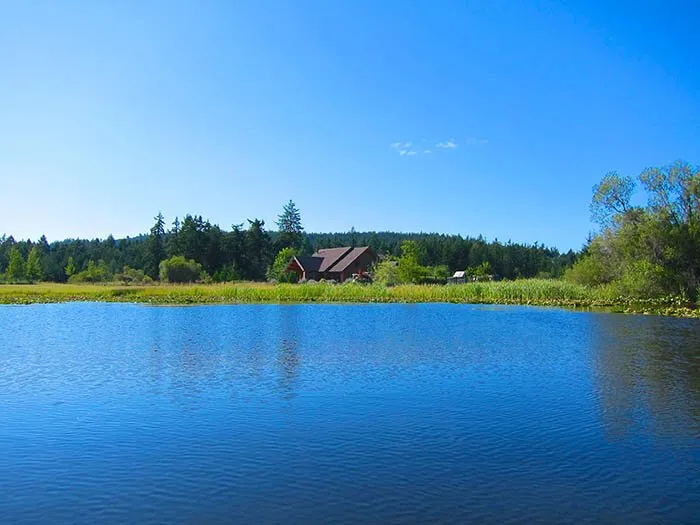 Affordable landscape design experts serving Friday Harbor, WA - San Juan Landscape Pros