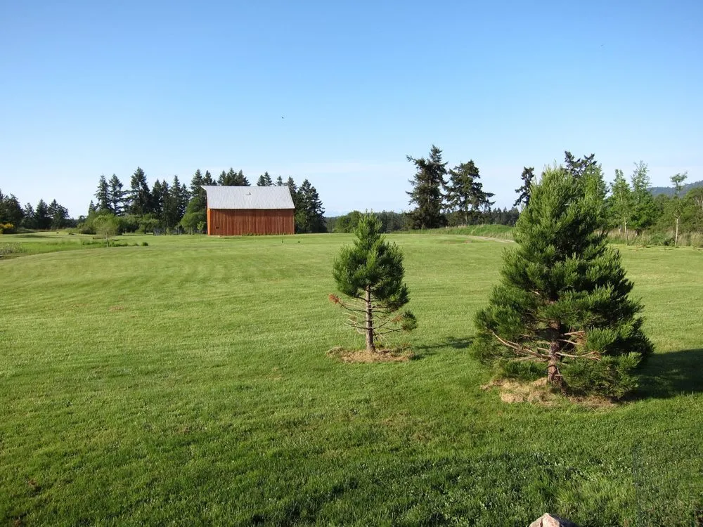 Custom outdoor landscaping in Friday Harbor, WA by San Juan Landscape Pros