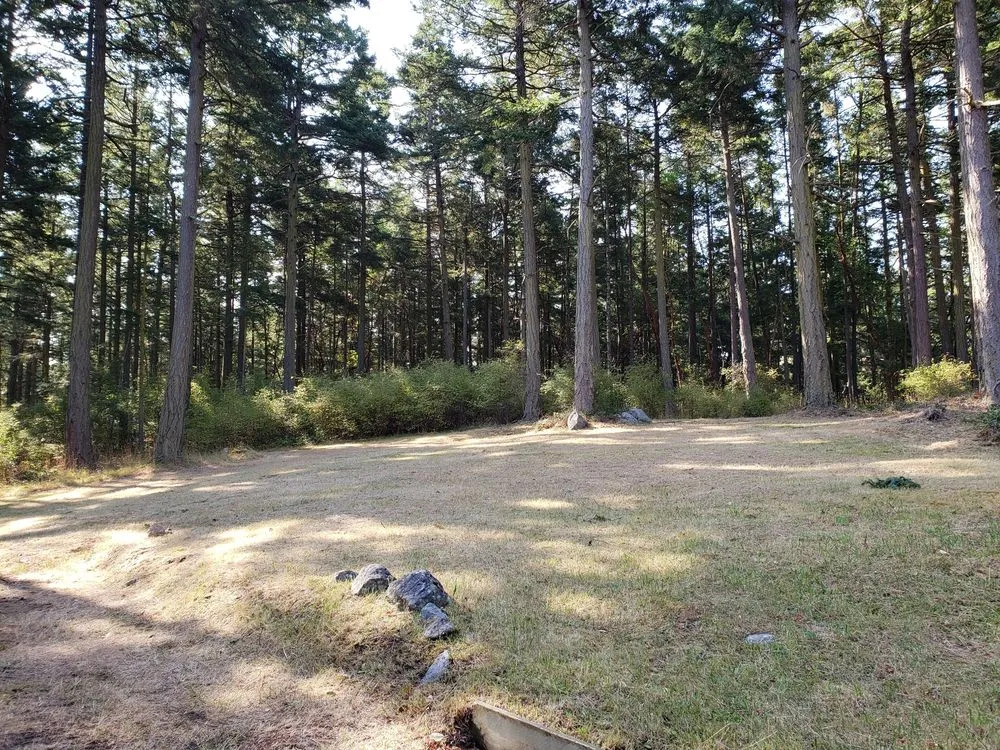 Affordable outdoor landscaping in Friday Harbor, WA by San Juan Landscape Pros