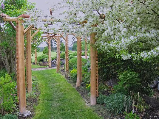 San Juan Landscape Pros