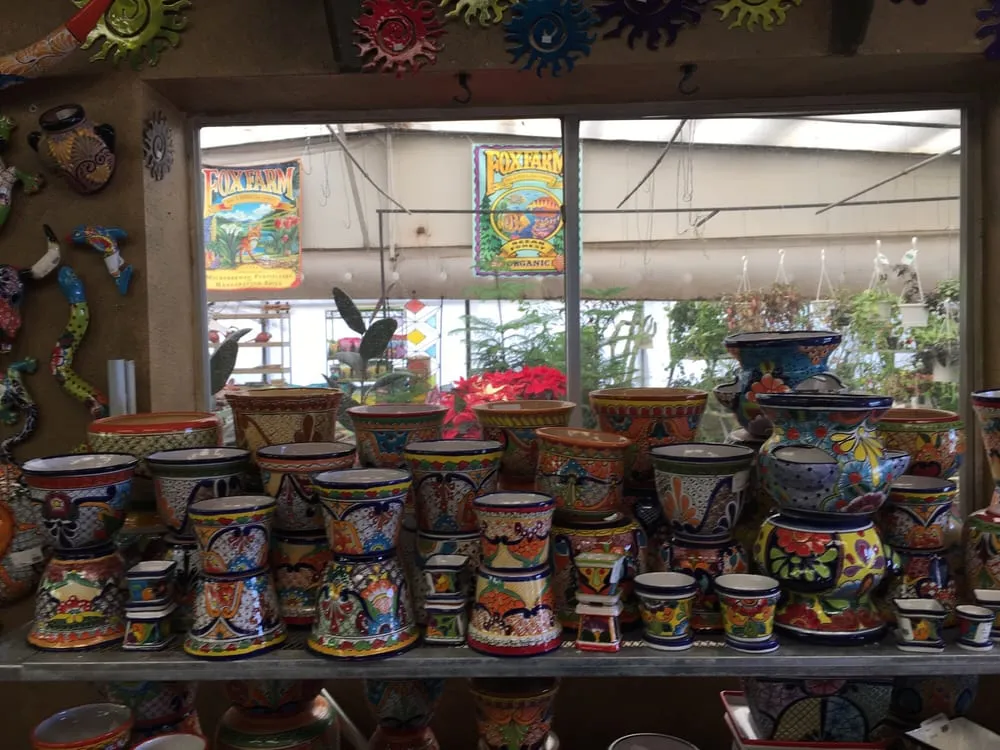 Professional yard cleanup service experts serving Farmington, NM - San Juan Nurseries