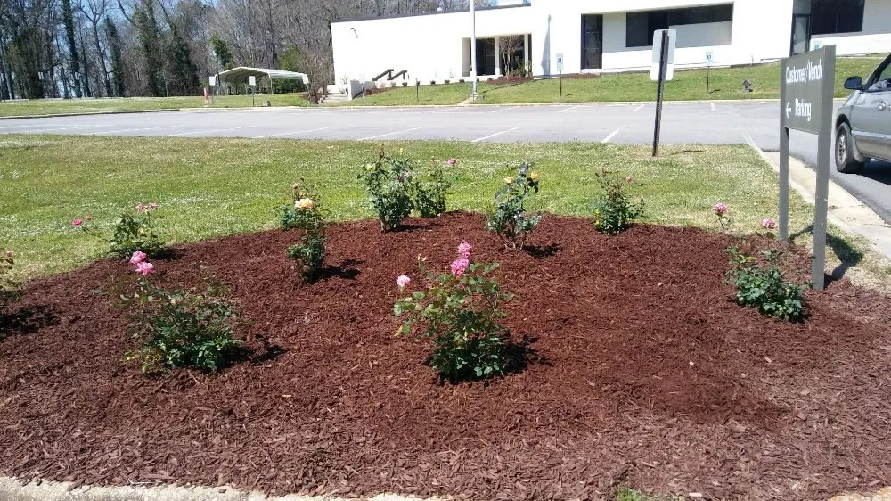 Custom lawn mowing service experts serving Zebulon, NC - San Juans Landscaping & Lawn Maintenance