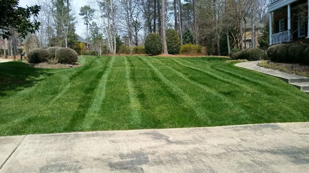 Local landscaping services in Zebulon, NC - San Juans Landscaping & Lawn Maintenance