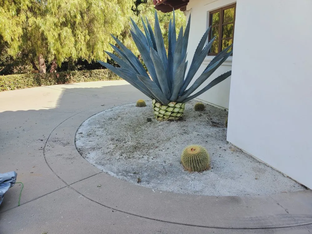 Trusted landscape design experts serving Solana Beach, CA - San Judas Landscaping And Services