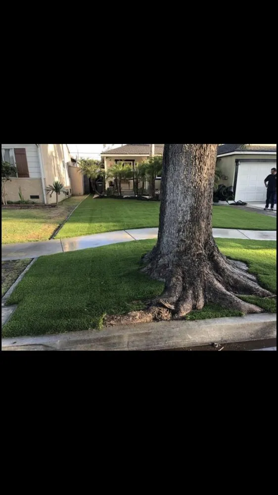 Top-rated landscape design in Solana Beach, CA by San Judas Landscaping And Services