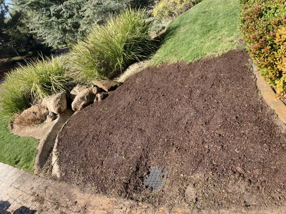 Expert lawn mowing service for residential properties in Solana Beach, CA by San Judas Landscaping And Services