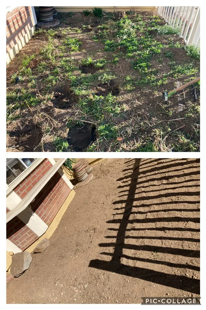 Expert yard maintenance in Solana Beach, CA - San Judas Landscaping And Services