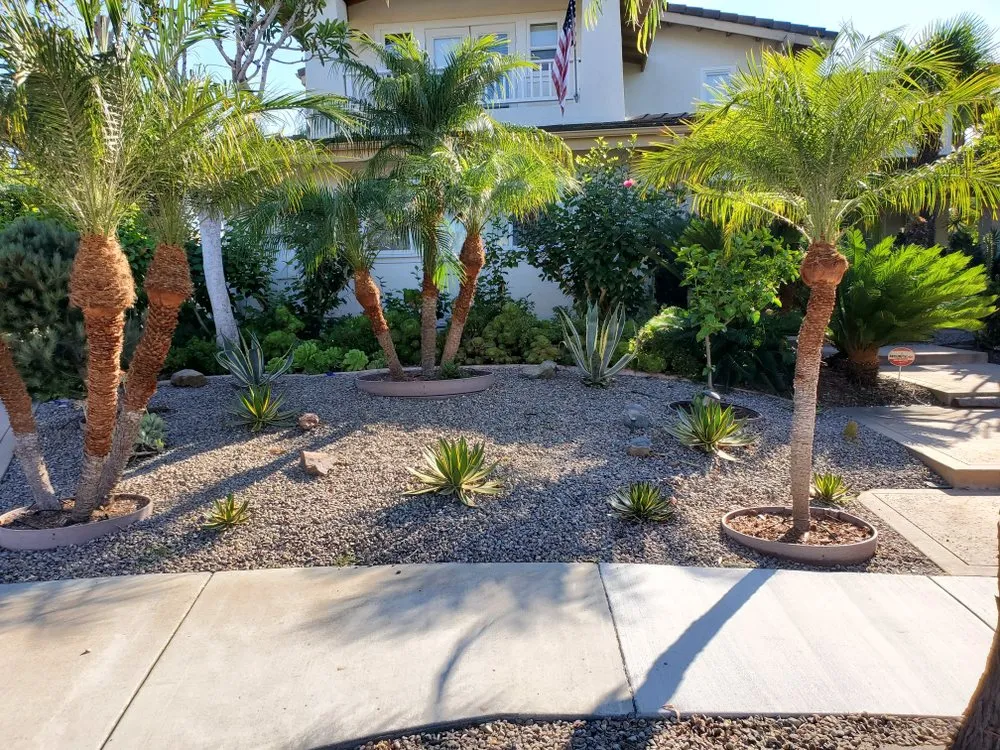 Trusted lawn care service with custom design in Solana Beach, CA by San Judas Landscaping And Services