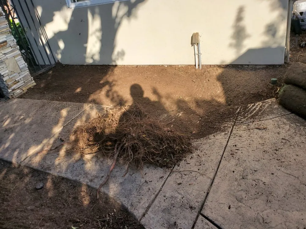 Local landscape design for outdoor upgrades across Solana Beach, CA - San Judas Landscaping And Services