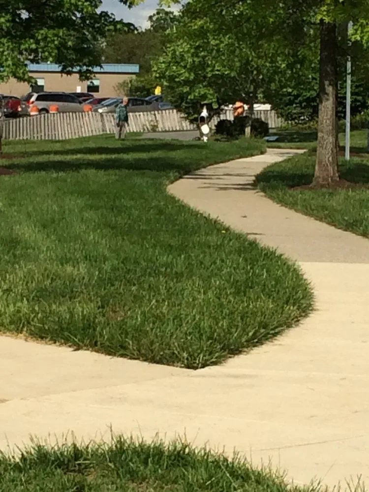 Reliable landscaping services experts serving Arlington, VA - San Luis Lawn Care