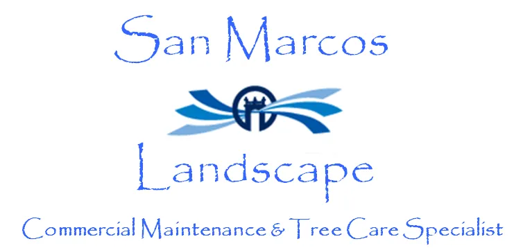 Expert landscaping services for beautiful yards in San Marcos, CA by San Marcos Landscape