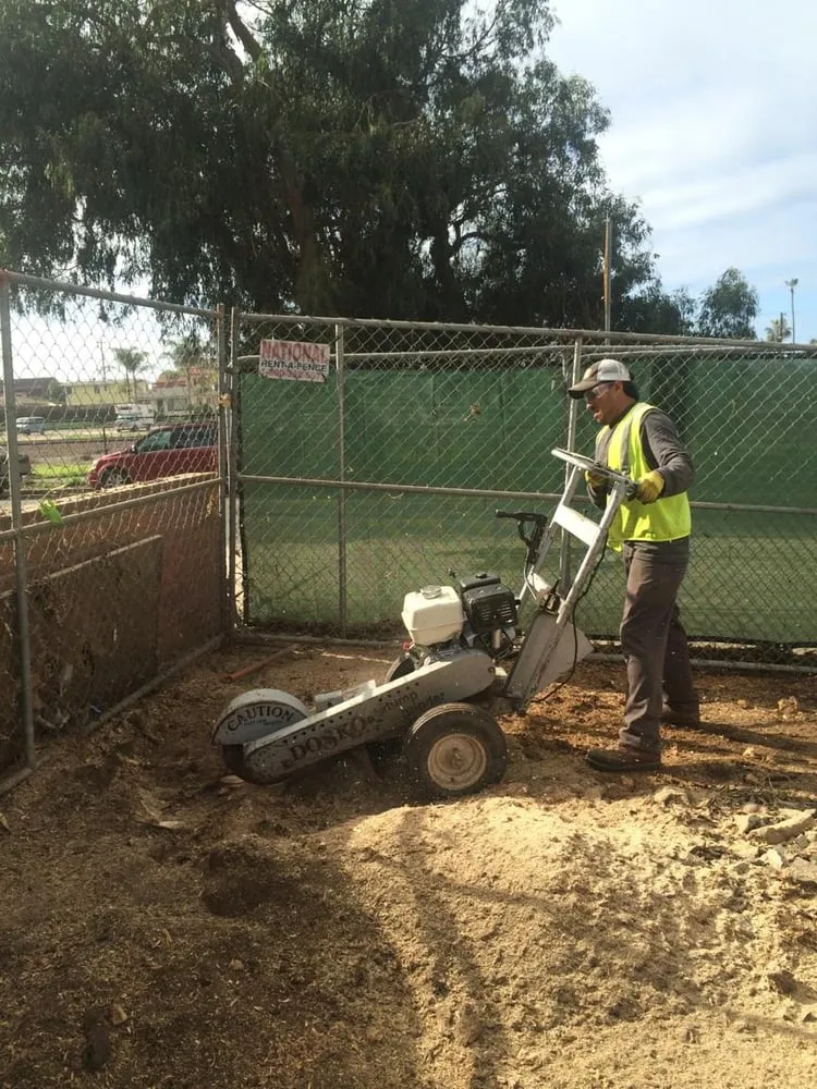 Custom lawn mowing service for residential properties in San Marcos, CA by San Marcos Landscape