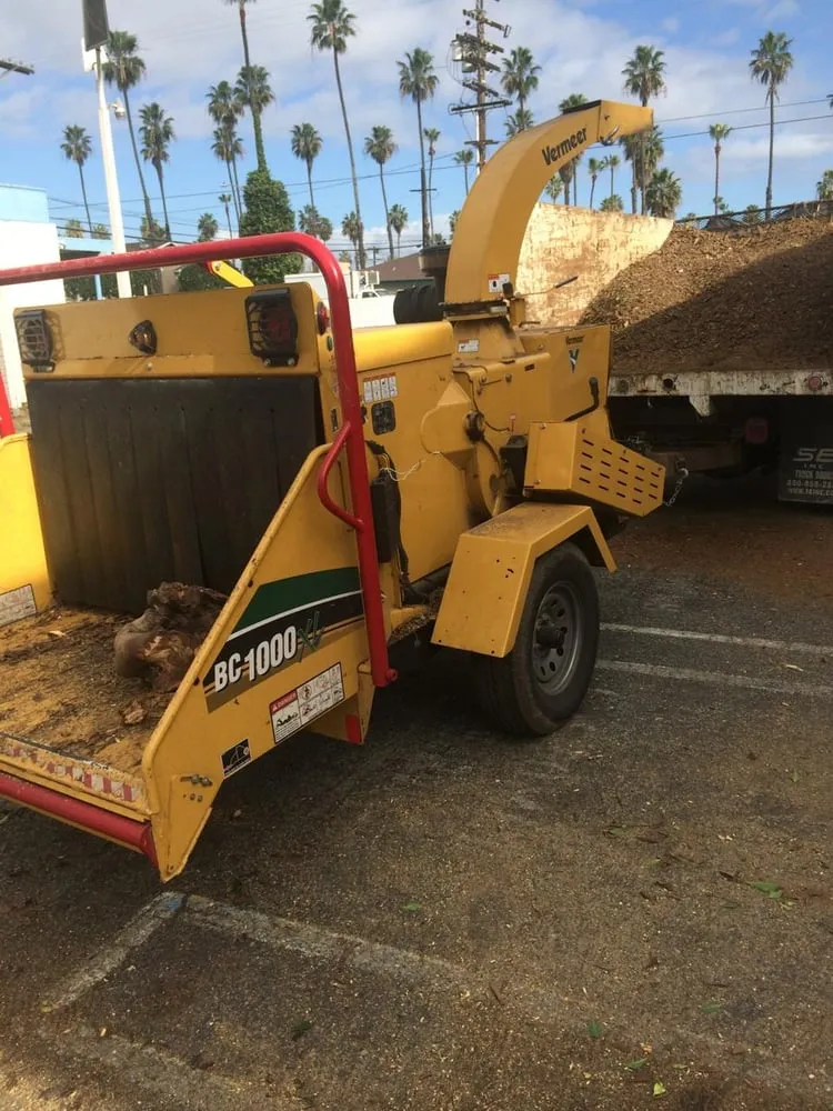 Affordable lawn care service in San Marcos, CA by San Marcos Landscape