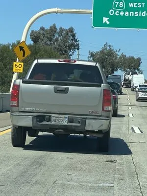 San Marcos Landscape Logo