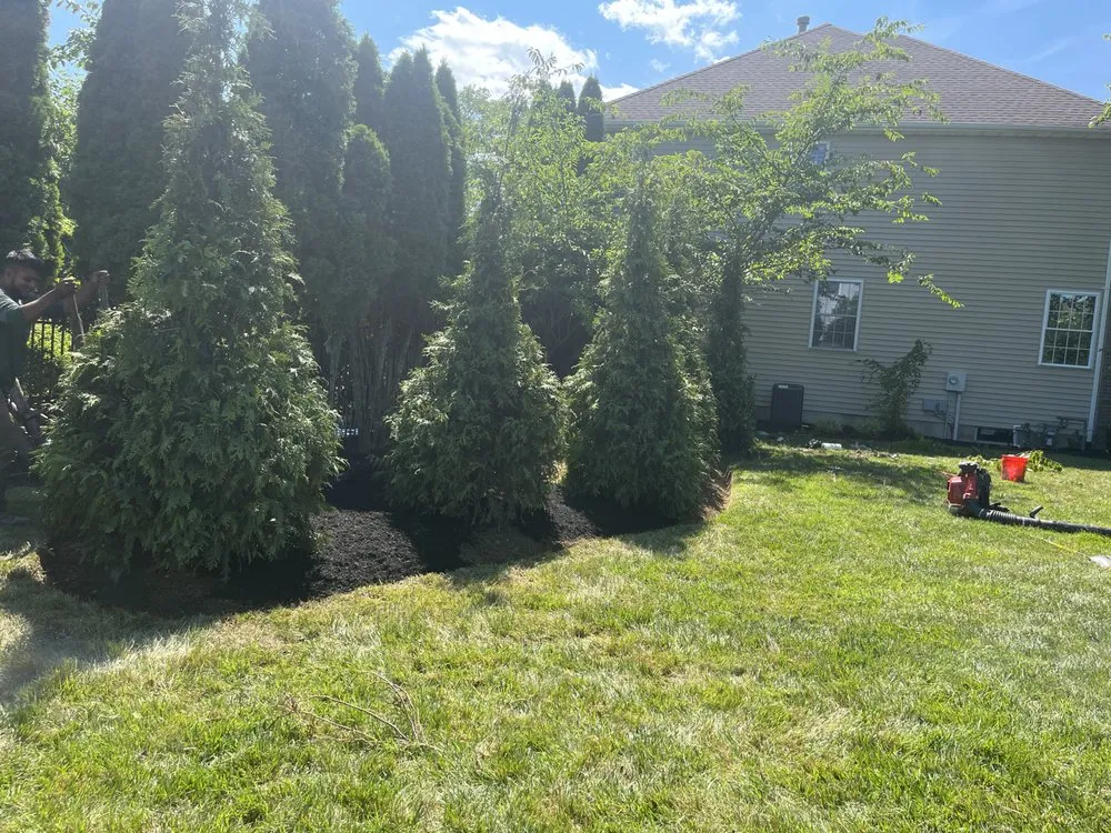 Professional landscaping services in Neptune City, NJ by San Marcos Landscaping