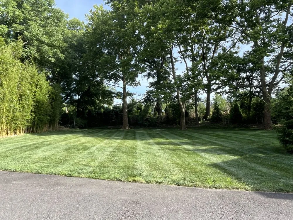 Custom lawn care service near you in Neptune City, NJ by San Marcos Landscaping
