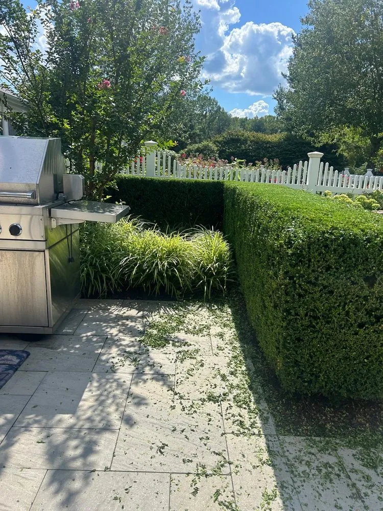 Custom lawn mowing service for year-round maintenance across Neptune City, NJ - San Marcos Landscaping