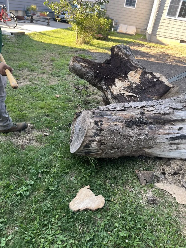 Trusted landscaping services in Neptune City, NJ by San Marcos Landscaping