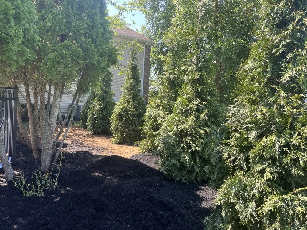 Top-rated garden landscaping experts serving Neptune City, NJ - San Marcos Landscaping