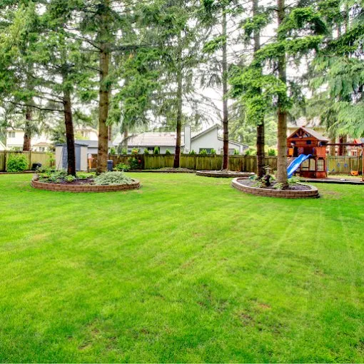 Top-rated landscaping services for year-round maintenance across San Marcos, TX - San Marcos Landscaping